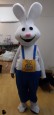mascota "Iepurasul"
